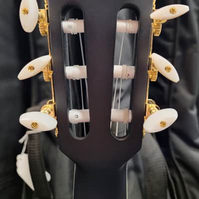 Brand New Ibanez TOD10N Tim Henson Signature Model Nylon String Guitar image 10