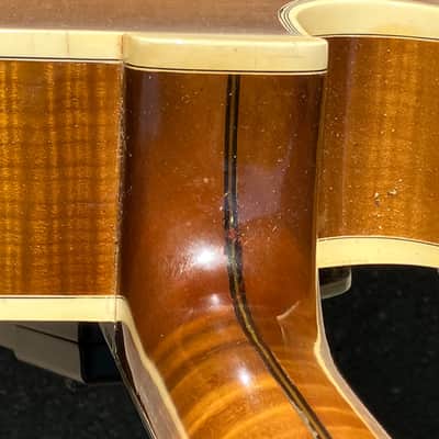 1967 D'Aquisto Excel Archtop Guitar image 22