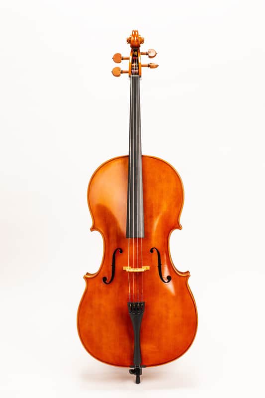 DZ Strad Cello Model 250 w/ Case & Bow (1/8-4/4) image 1