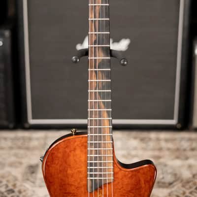 Taylor Custom Shop T5z Custom #C0960 Figured Ironbark/Shamel Ash Hollow Body Electric Guitar with Hardshell Case image 4