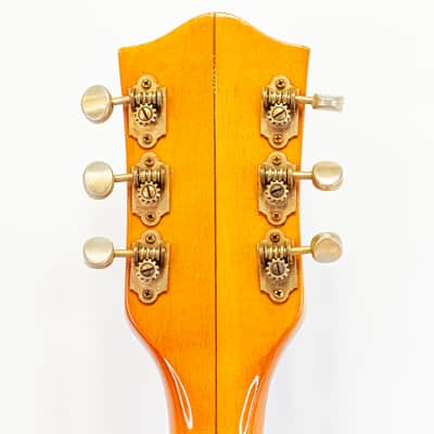 1966 Gretsch 6120 Chet Atkins Nashville Hollow Body Guitar w/ Case Bigsby USA image 10