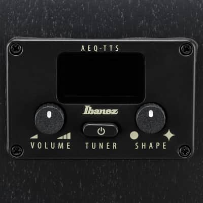 Ibanez AEG1221-BOT 12-String Electro-Acoustic Guitar, Black Out image 8