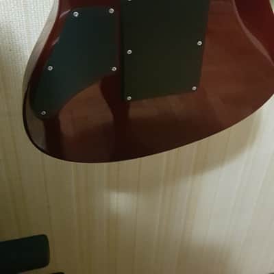Suhr Carve Top Modern LE2009 image 15