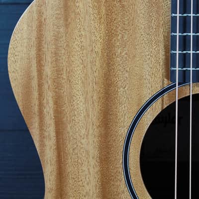 Taylor Guitars 24ce Mahogany Top Grand Auditorium w/ Fishman Electronics image 16