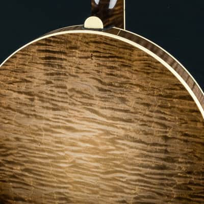 Deering 50th Anniversary Limited Edition 5-String Banjo NEW image 19