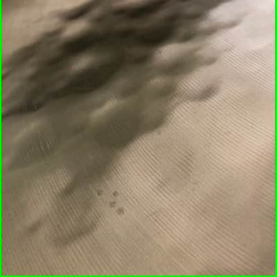 Paiste Vault Release 0047: Sound Creation 18" Dark Flatride Flat Ride from 1985 IMMACULATE COLLECTOR GRADE NOS Mint Formula 602 alloy gem! image 21