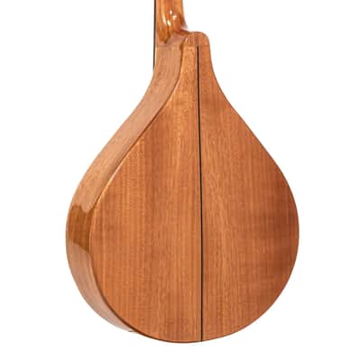 Gold Tone BZ-500 Folkternative Design Solid Spruce Top Irish Bouzouki Mandolin with Hardshell Case image 5