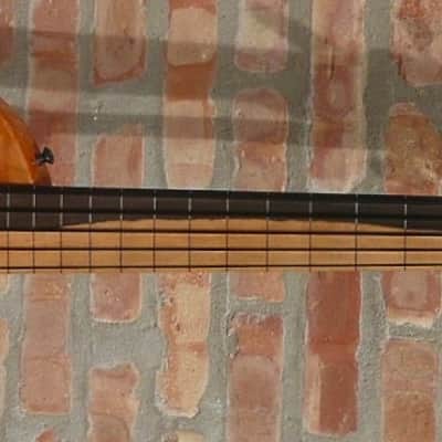 Veillette Paris Lined Fretless image 2