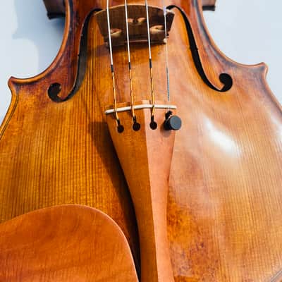 Giuseppe Fiorini Da Bologna Fece in Roma Italian Labeled Violin image 3