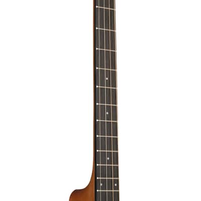 Gold Tone TG-10/L Spruce Top Mahogany Neck 4-String Acoustic Tenor Guitar w/Hard Case For Left Handed Players image 7