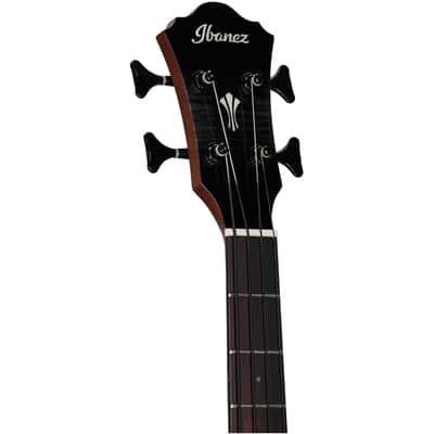 Ibanez AEGB25E Acoustic-Electric Bass, Transparent Black Burst Hi Gloss image 3