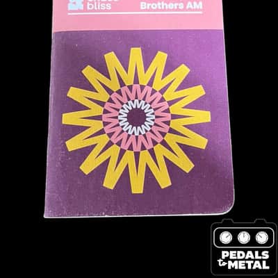 Chase Bliss Audio Brothers AM 2025 - Present - Various - X17254 image 2