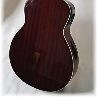 Dillion DF-900 ES Folk Size Acoustic Guitar Natural w/Case image 4
