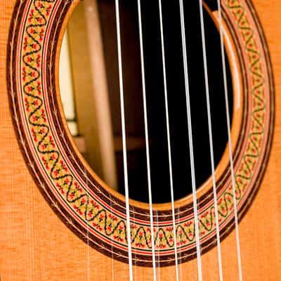 Classical guitar Manuel Raimundo 180 (2020) image 7