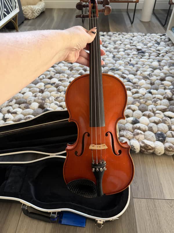 German Violin – Full Outfit, Pro-Inspected, Ready to Play 🎻 image 1