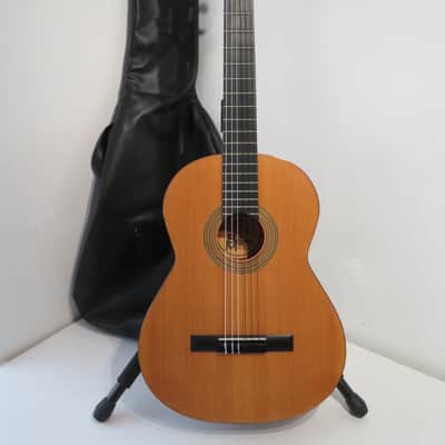 B&M Espana Classical / Flamenco Acoustic Guitar image 1