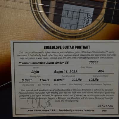 Breedlove Premier Concertina Burnt Amber CE 2025 - Burnt Amber image 7