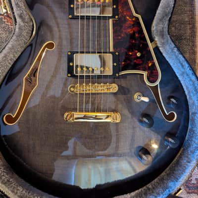 D'Angelico Excel EX-SS Semi-Hollow with Stop-Bar Tailpiece, Gold Hardware 2010s - Grey Black image 1