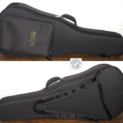 Brand New Martin D-15M StreetMaster, Solid Mahogany, Made in USA, w/Soft Case, Free Shipping! image 15