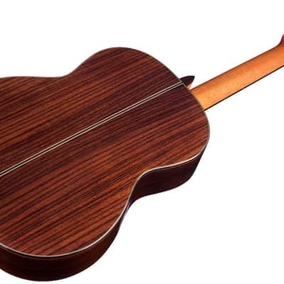 Cordoba Iberia C7-Cedar Nylon Guitar image 4