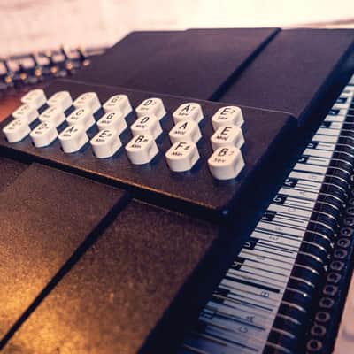 Oscar Schmidt OS11021AE | 21 Chord Acoustic Electric Auto Harp. Natural Ovangkol. New with Full Warranty! image 8