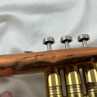 Immagine Conn Coprion cornet 1950s - Brass lacquer - 7