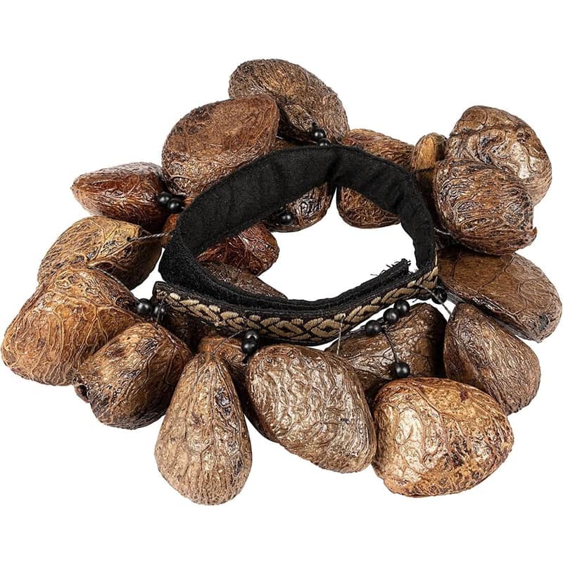 Meinl Ankle Shaker Pangi Seeds image 1