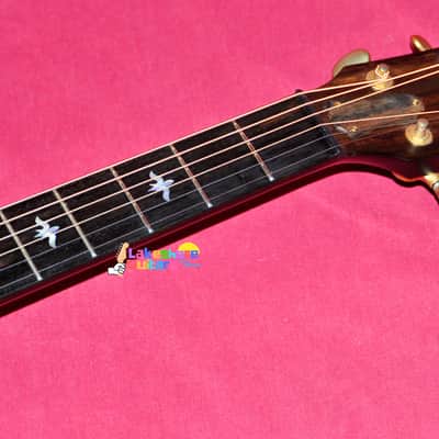Taylor Builder's Edition 614ce WHB 2019 - Present - Wild Honey Burst image 7
