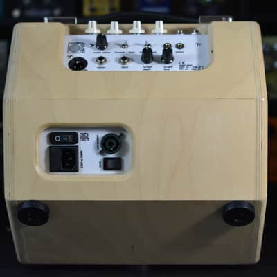 Mambo Amp 10" combo image 7
