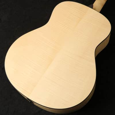 Taylor Custom Goe [Sn 1109276089] [01/27] image 2