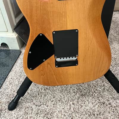 Custom-Built Partscaster image 5
