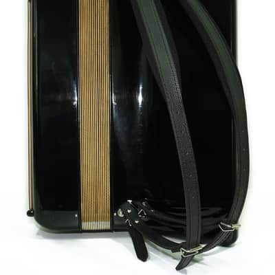 Hohner Verdi VM Piano Accordion 120 Bass, made in Germany, Straps and Hard Case, Vintage Original Musical Instrument, 2720 image 7