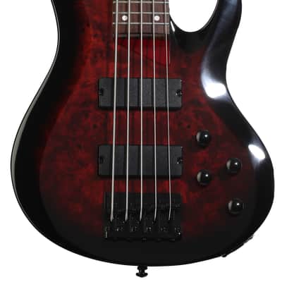 ESP LTD B-205DX 5-string Electric Bass Guitar - Red Burst  Rosewood Fingerboard image 3