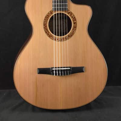 Taylor JMSM Jason Mraz Signature Model image 1