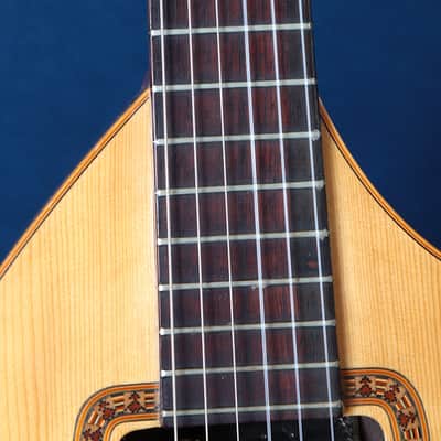 Giannini Craviola AWKNS6 / Nylon String and Bossa Ready! image 4