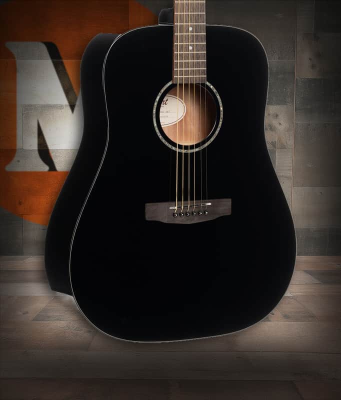 Cort Earth Series 60 Dreadnought Acoustic Guitar - Back Gloss (EARTH60BK) Bild 1