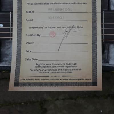 Eastman E6 LGSS Thermo-Cure - Sunburst image 18
