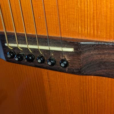 Washburn Parlor 1923 Pre-War II - Brazilian Rosewood back image 13