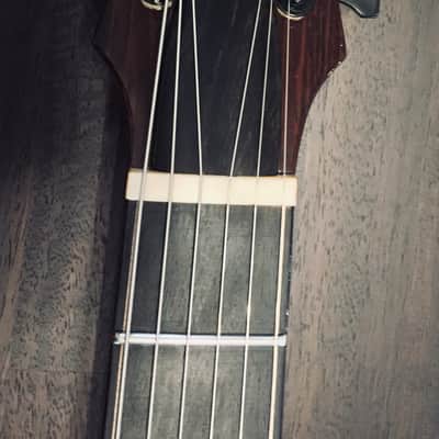 Stephen Holst 15" Asymmetric Archtop image 3