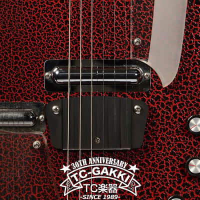 JERRY JONES GUITARS Electric Sitar image 4