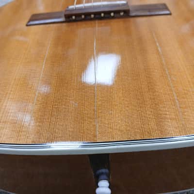 Vintage 1969 Harmony Sovereign H1203 w/ Hard Shell Case image 18
