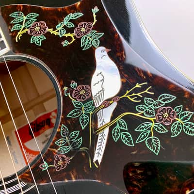 Gibson Dove 1980 Ebony image 10