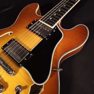 Eastman T484 Gold Burst Finish Flame Maple Thinline Guitar, Hard Case image 8