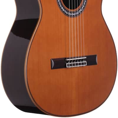 Cordoba C12 CD Classical Acoustic Guitar, with Case, Open Box (Very Good) image 4