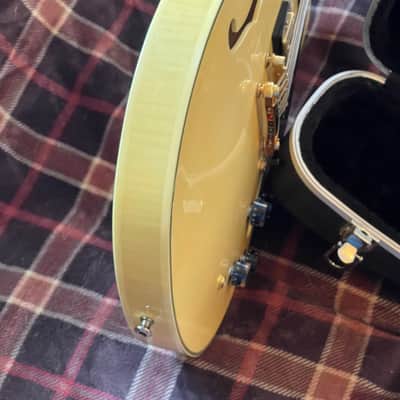 Agile AS820 12 String Semi-hollow Electric Guitar image 8