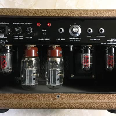 Ceriatone Aunt Peg Bass Amp image 4