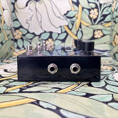 Pigtronix infinity Looper and Footswitch Remote - Used image 4