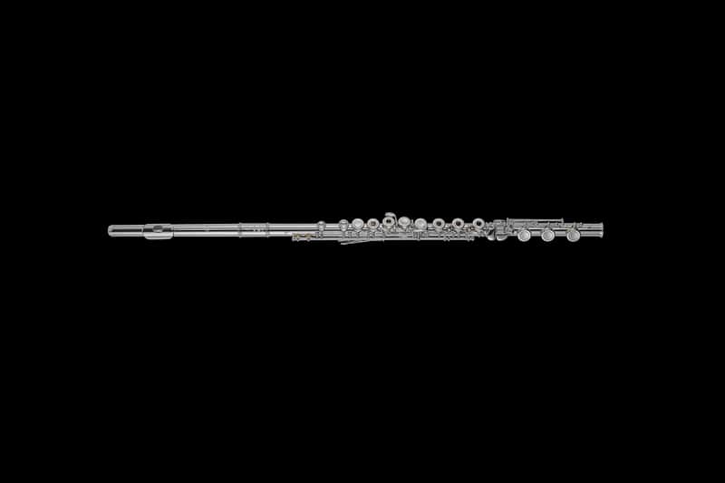 Mint Open Box Di Zhao DZ 501BEF Flute, Silver Head, B Foot, Split E; with Case