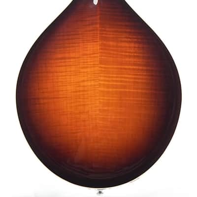 Bulas A-Style Artemis Mandolin image 4