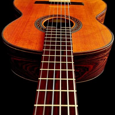 Benito Huipe Special Concert Guitar-Cedar/Exotic Bocote Master Grade image 8